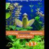 Aquascaping Tips for a Visually Appealing Aquarium