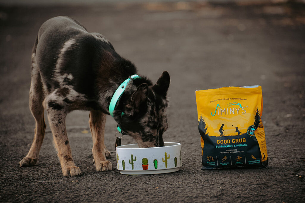 Choosing the Best Dog Food for Sensitive Stomachs