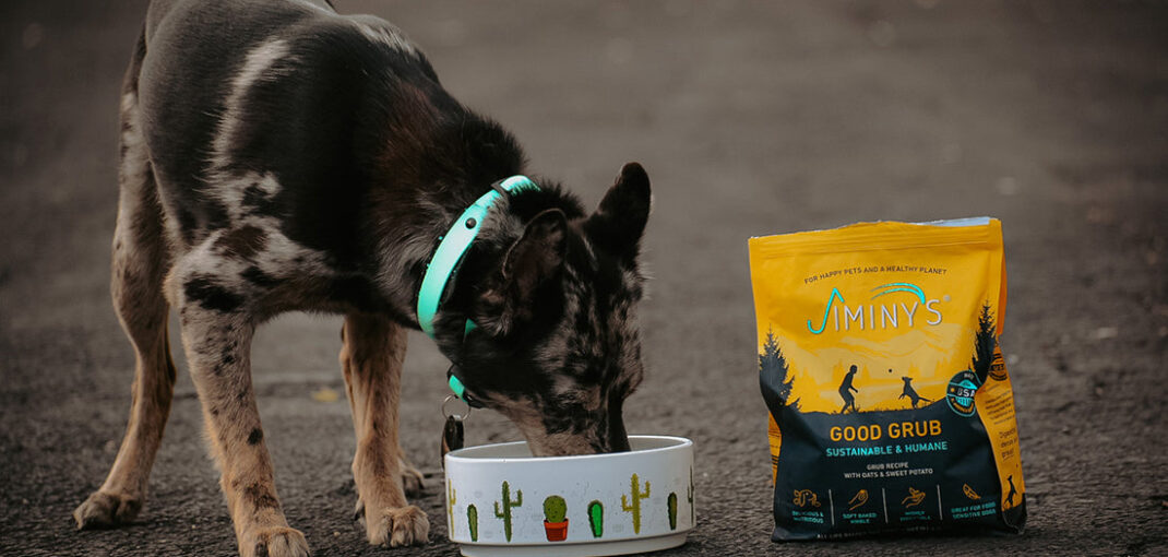 Choosing the Best Dog Food for Sensitive Stomachs
