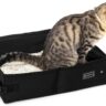 Choosing the Right Litter Box for a Finicky Cat