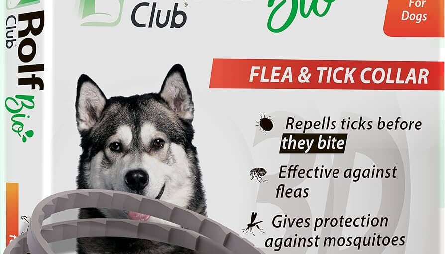 Top-Rated Flea And Tick Prevention for Dogs 2024